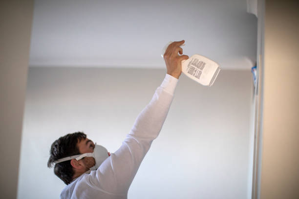 Best Mold Testing and Removal  in Graham, TX