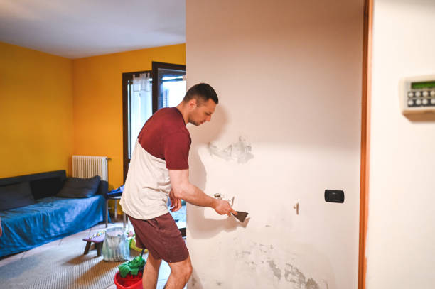 Best Office Mold Removal Services  in Graham, TX